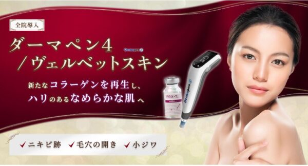 ダーマペン 聖心美容クリニック