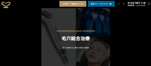 「毛穴総合治療」コースの内訳